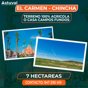 TERRENO DE 7 HECTAREAS CHINCHA EL CARMEN
