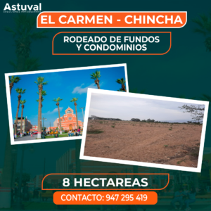 TERRENO DE 8 HECTAREAS - CHINCHA - EL CARMEN