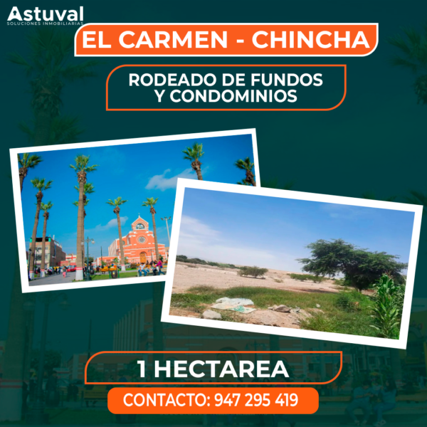 TERRENO DE 1 HECTAREA - CHINCHA - EL CARMEN
