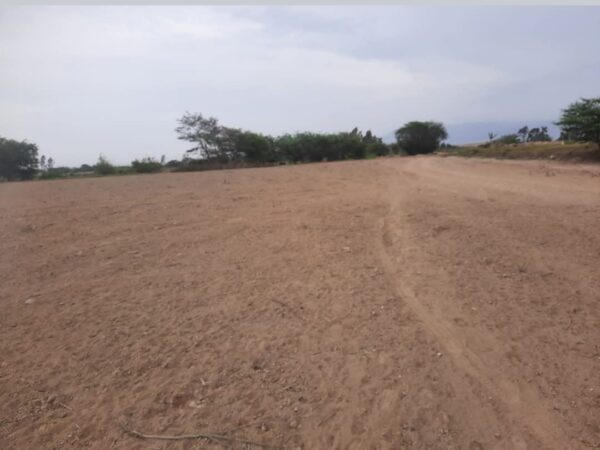 TERRENO DE 8 HECTAREAS - CHINCHA - EL CARMEN - Imagen 3