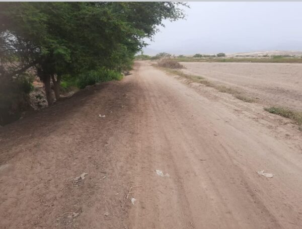 TERRENO DE 8 HECTAREAS - CHINCHA - EL CARMEN - Imagen 5