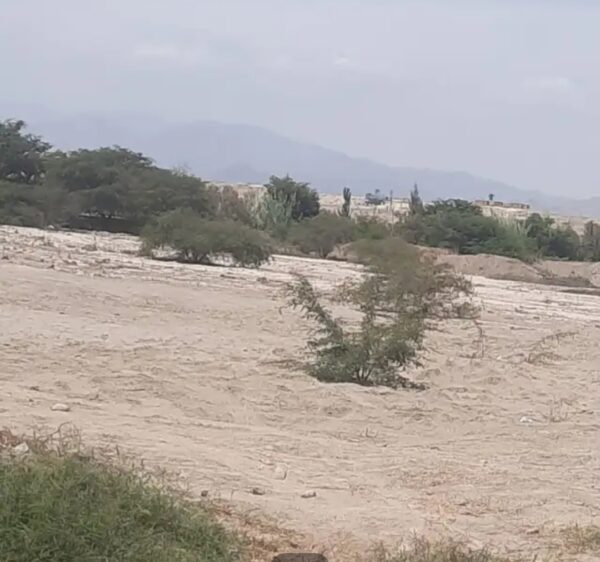 TERRENO DE 1 HECTAREA - CHINCHA - EL CARMEN - Imagen 3
