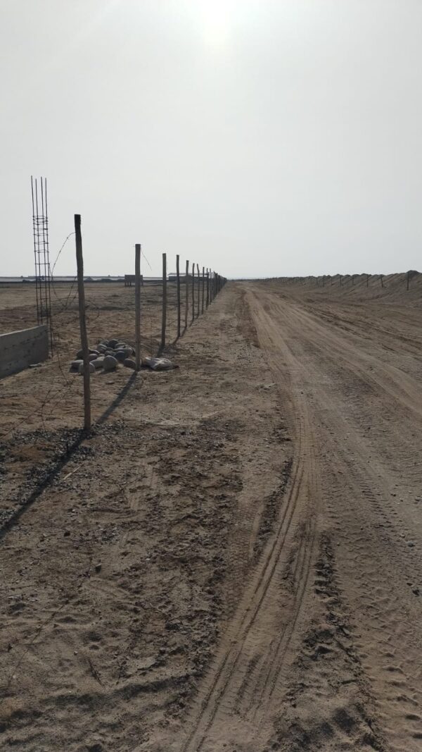 TERRENO DE 7.8 HECTAREAS - GROCIO PRADO, CHINCHA - Imagen 4