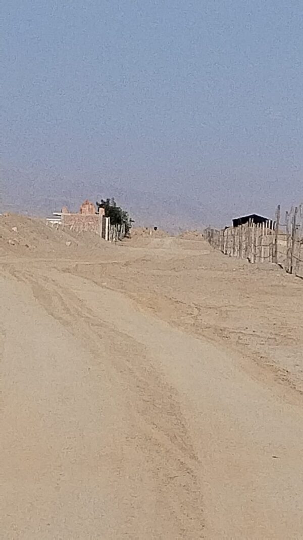 TERRENO DE 7.8 HECTAREAS - GROCIO PRADO, CHINCHA - Imagen 3