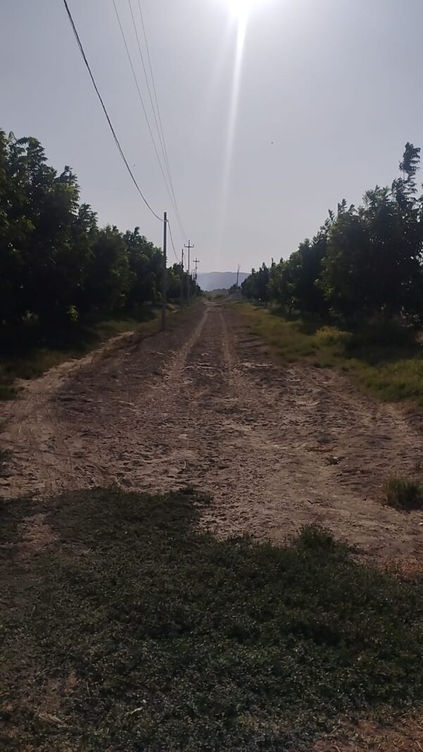 TERRENO DE 50 HECTAREAS - SANTIAGO , ICA - Imagen 3