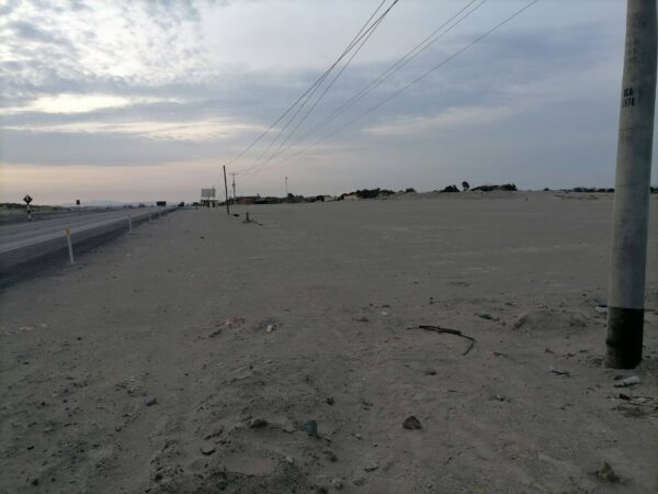 TERRENO DE 31 HECTAREAS - KM 253 PANAMERICANA SUR , PISCO - Imagen 5