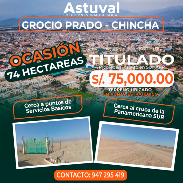 TERRENO DE 74 HECTAREAS -  GROCIO PRADO , CHINCHA