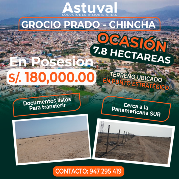 TERRENO DE 7.8 HECTAREAS - GROCIO PRADO, CHINCHA