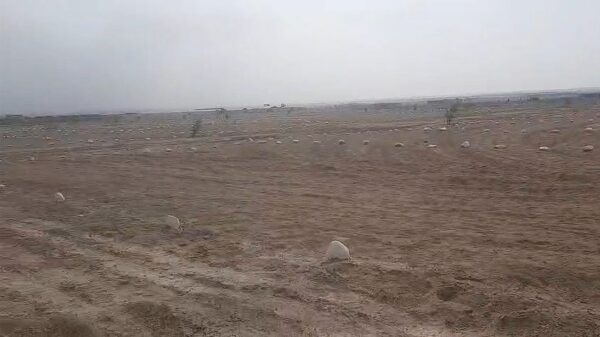 LOTES PARA CASA - GROCIO PRADO, CHINCHA - Imagen 3